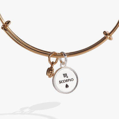 Scorpio Zodiac Charm Bangle ALEX AND ANI