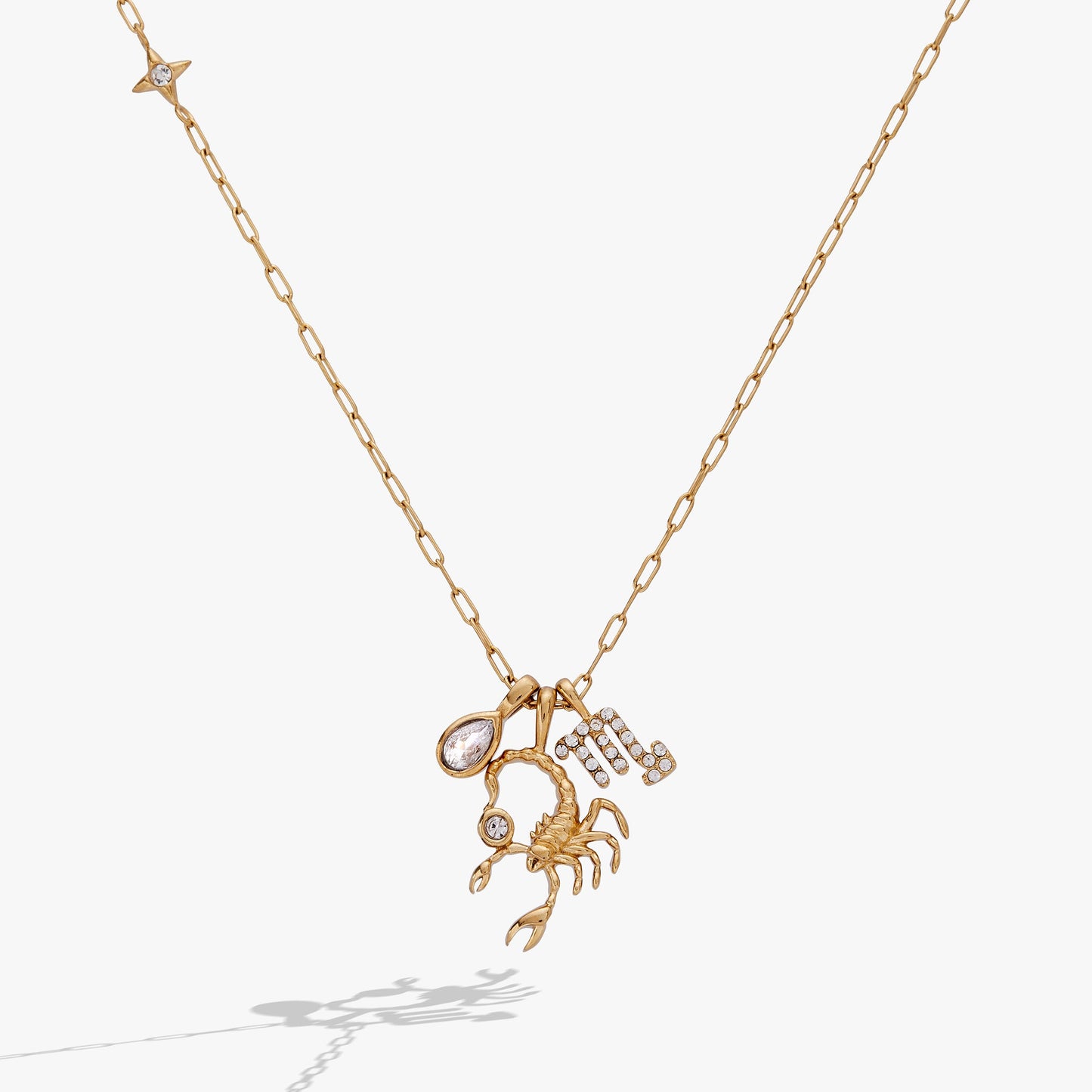 Scorpio Zodiac Charm Cluster Necklace ALEX AND ANI