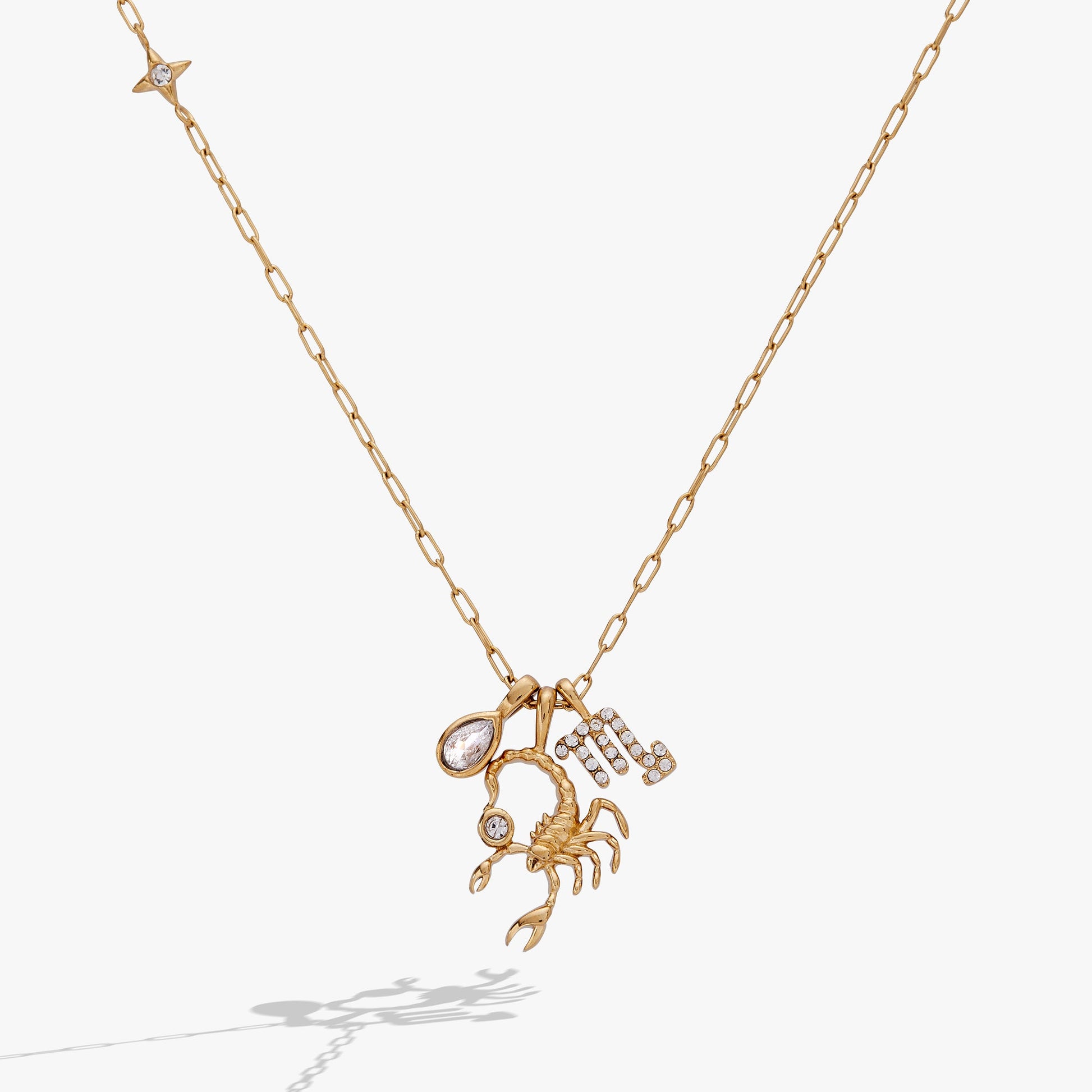 Scorpio Zodiac Charm Cluster Necklace ALEX AND ANI