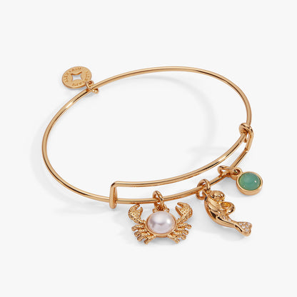 Sea Creature Multi Charm Bangle ALEX AND ANI