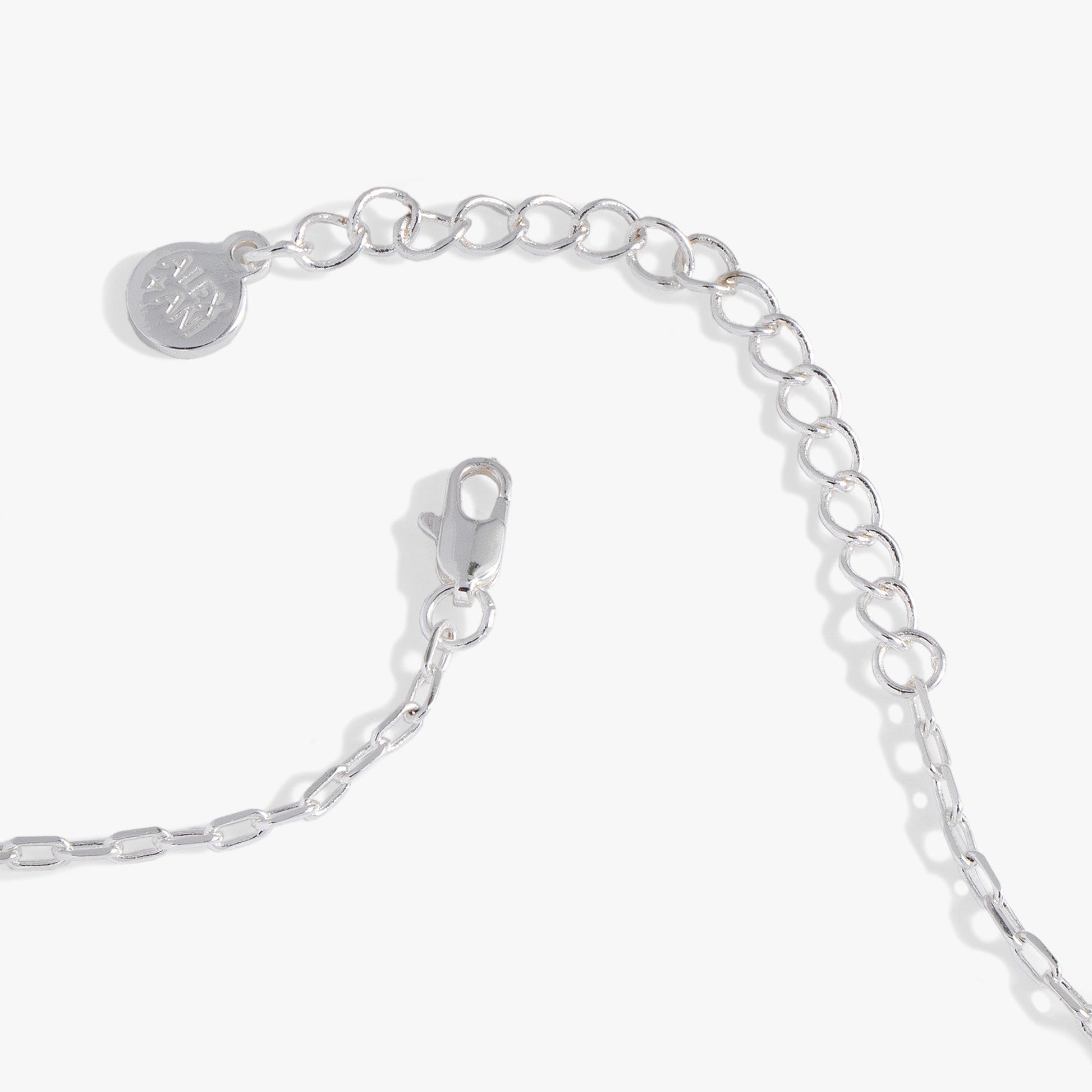 Sea Turtle and Abalone Adjustable Necklace ALEX AND ANI