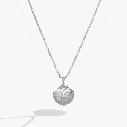 Salt + Sea 'Seashells Are Love Letters In The Sand' Seashell Locket Pendant ALEX AND ANI