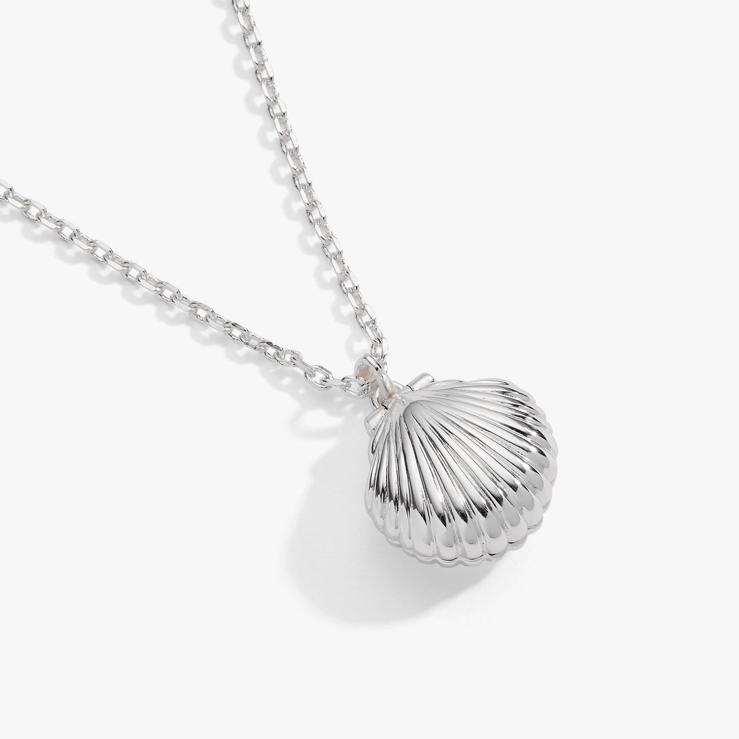 Salt + Sea 'Seashells Are Love Letters In The Sand' Seashell Locket Pendant ALEX AND ANI