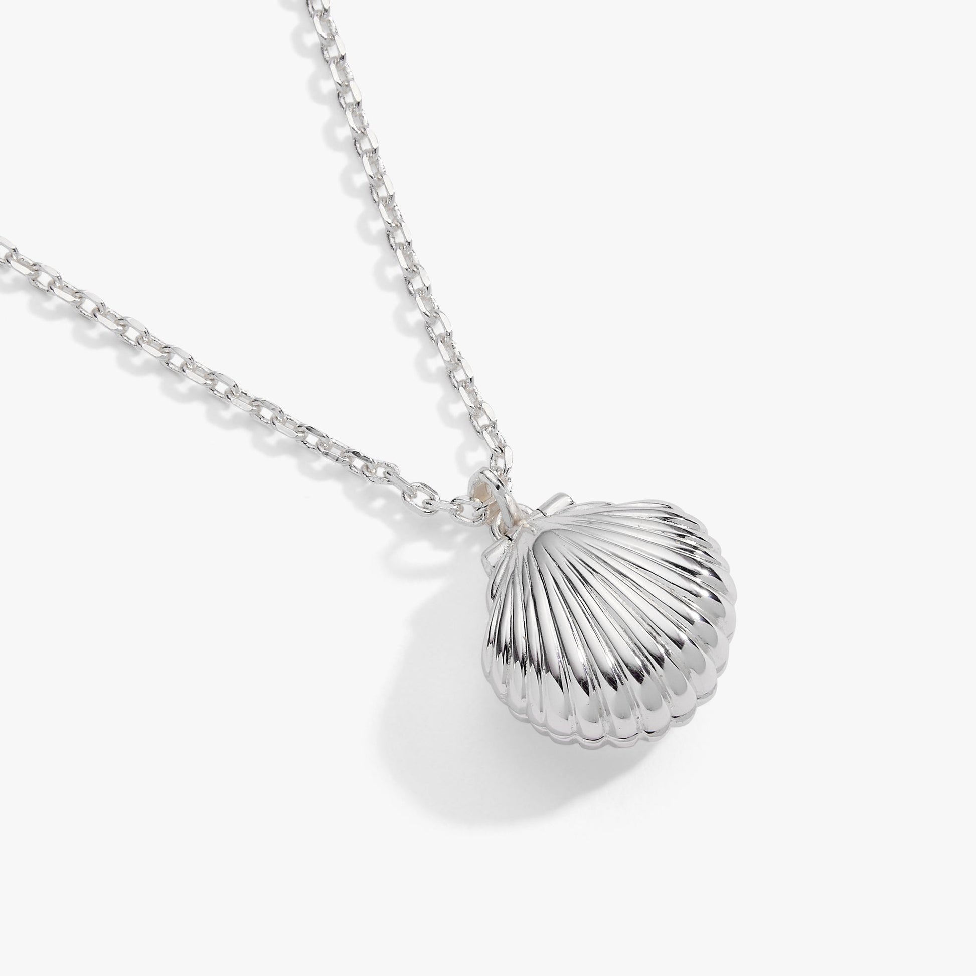 Salt + Sea 'Seashells Are Love Letters In The Sand' Seashell Locket Pendant ALEX AND ANI