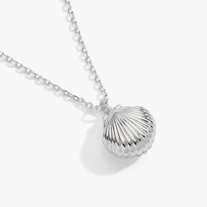 Salt + Sea 'Seashells Are Love Letters In The Sand' Seashell Locket Pendant ALEX AND ANI