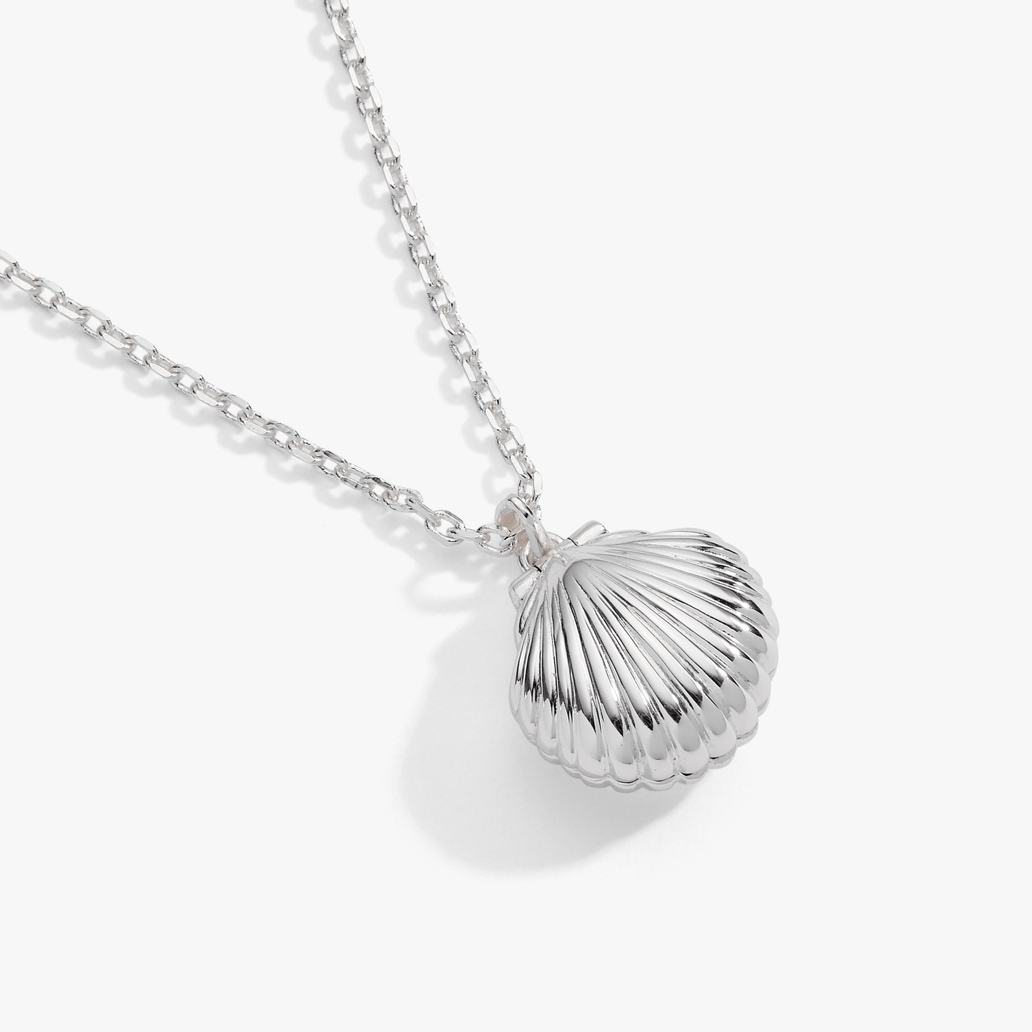 Salt + Sea 'Seashells Are Love Letters In The Sand' Seashell Locket Pendant ALEX AND ANI