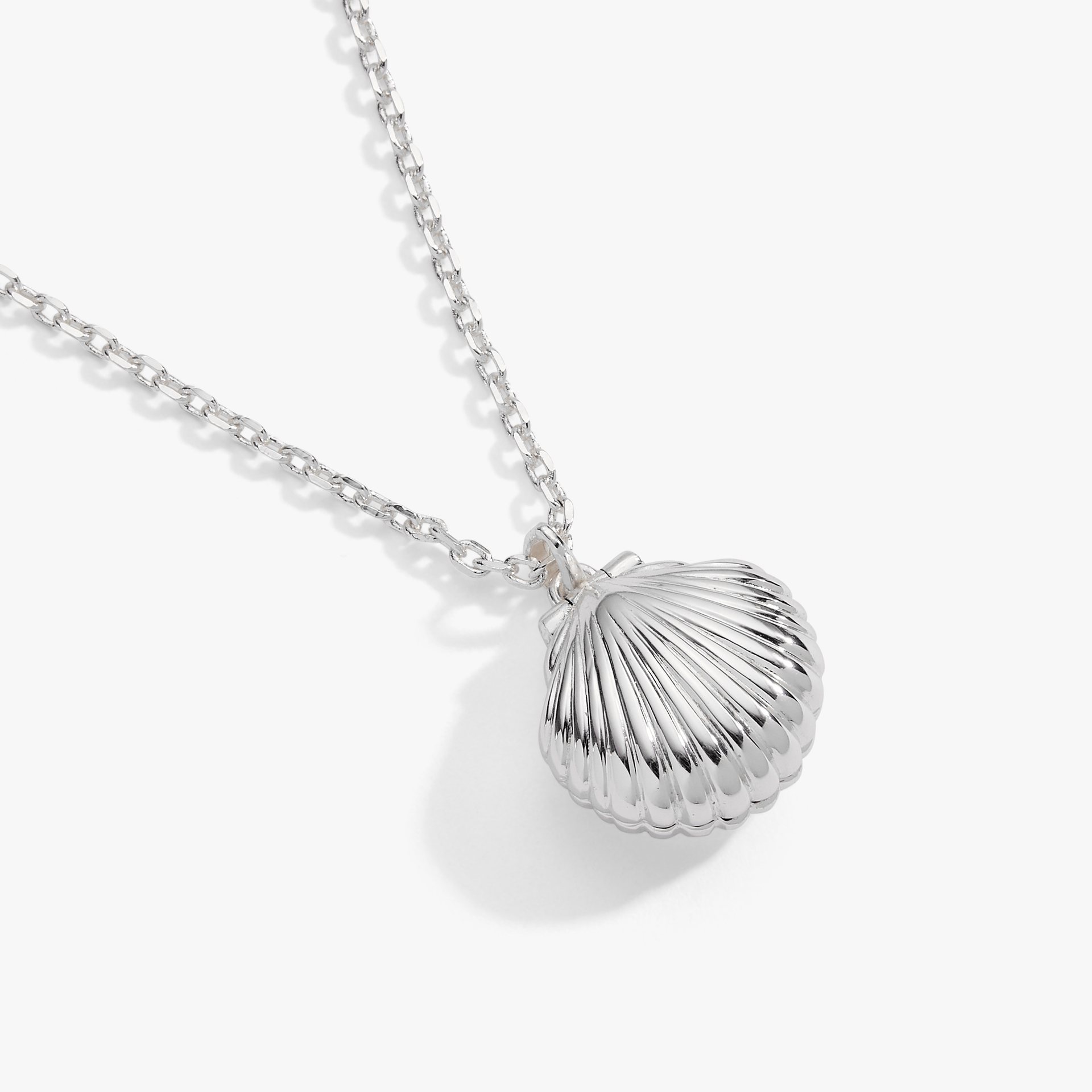 Salt + Sea 'Seashells Are Love Letters In The Sand' Seashell Locket Pendant ALEX AND ANI