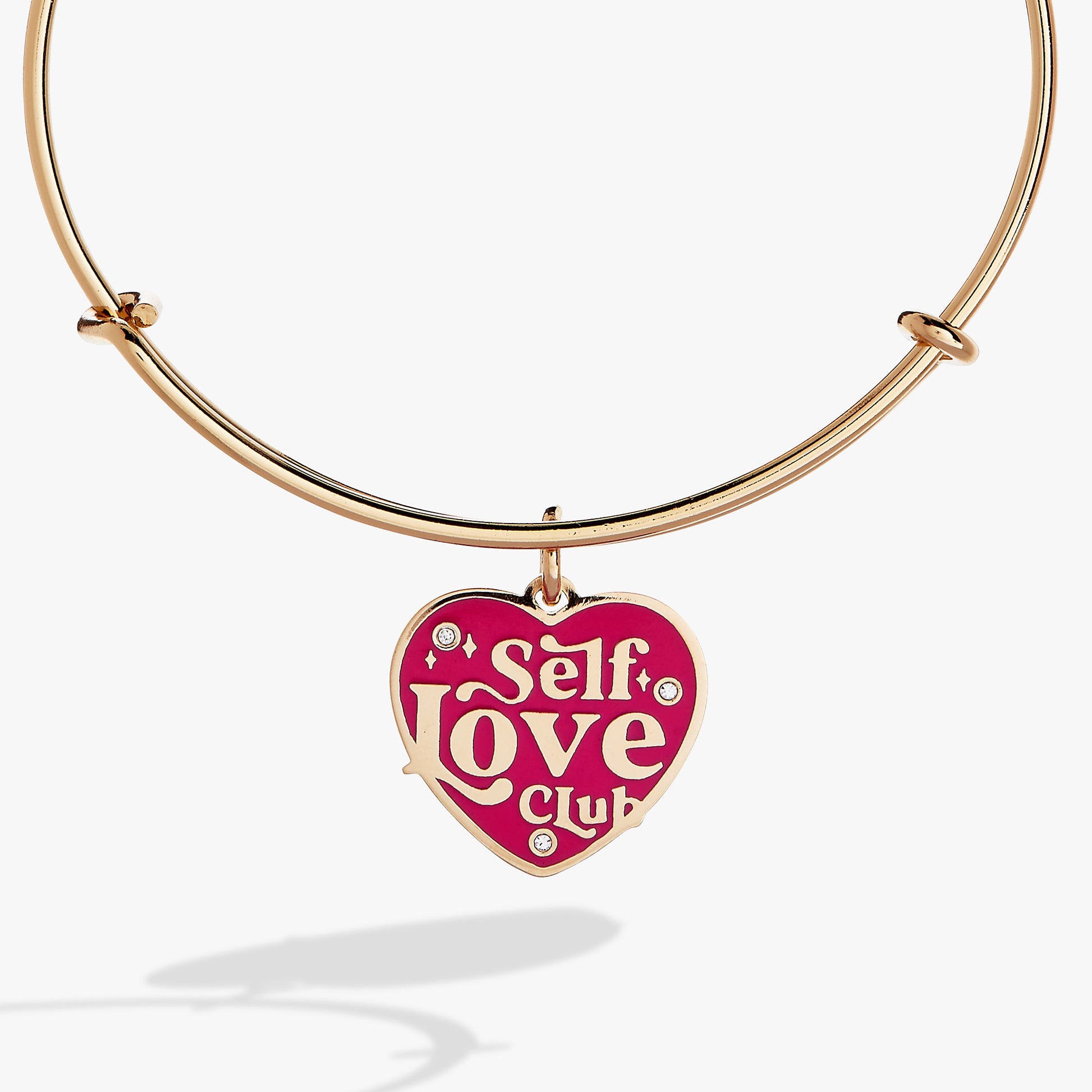 Self Love Charm Bangle ALEX AND ANI