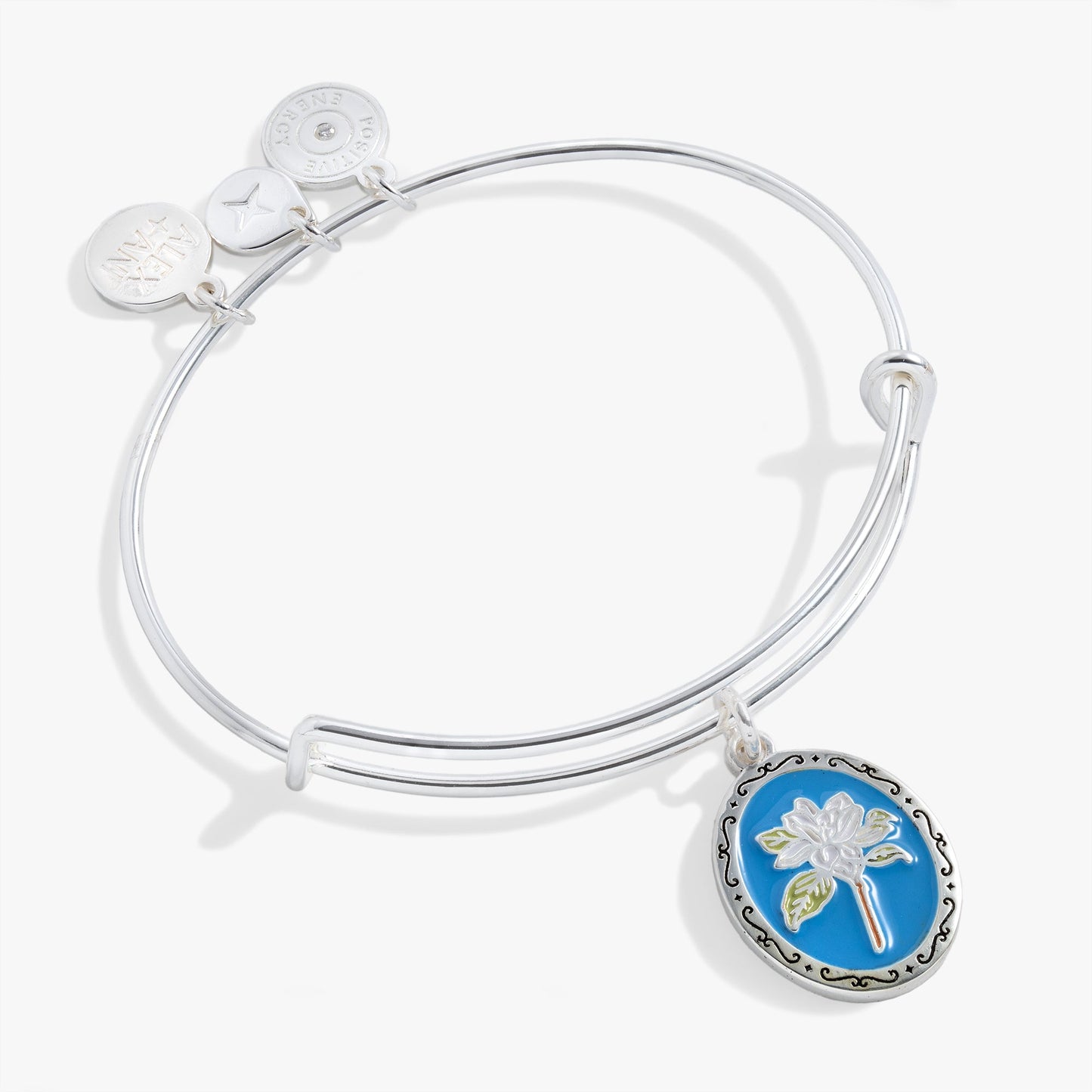 Sending Love Charm Bangle ALEX AND ANI