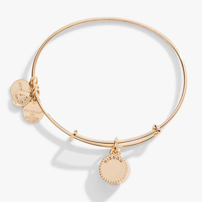 September Birthstone Charm Bangle, Sapphire ALEX AND ANI