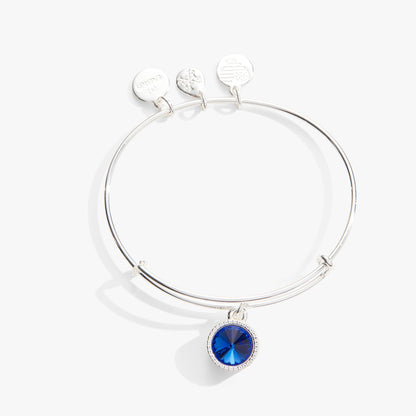 September Birthstone Charm Bangle, Sapphire ALEX AND ANI