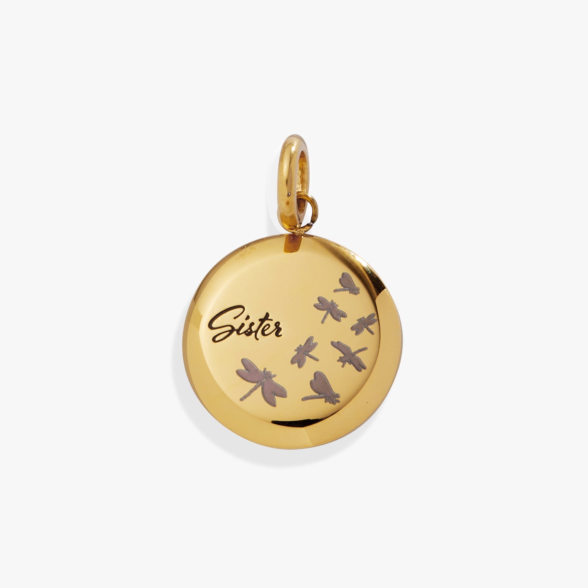 Sister Dragonfly Disc Charm ALEX AND ANI