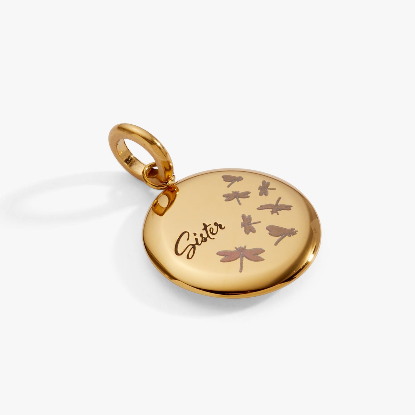 Sister Dragonfly Disc Charm ALEX AND ANI