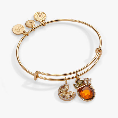 Spritz O Clock Bangle ALEX AND ANI