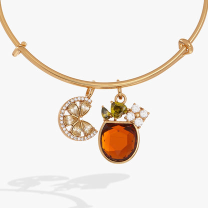 Spritz O Clock Bangle ALEX AND ANI