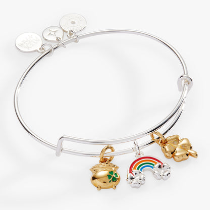 End of the Rainbow Multi-Charm Bangle ALEX AND ANI