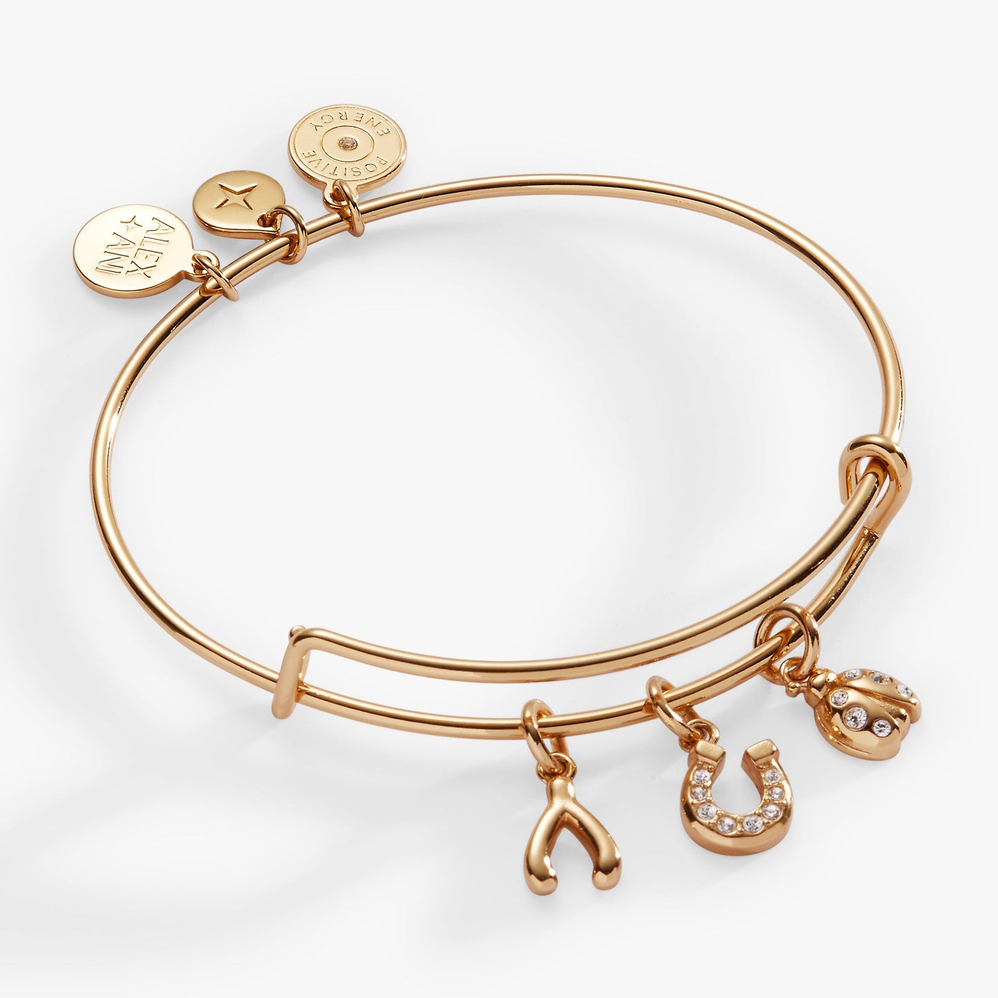 Love and Luck Multi-Charm Bangle ALEX AND ANI