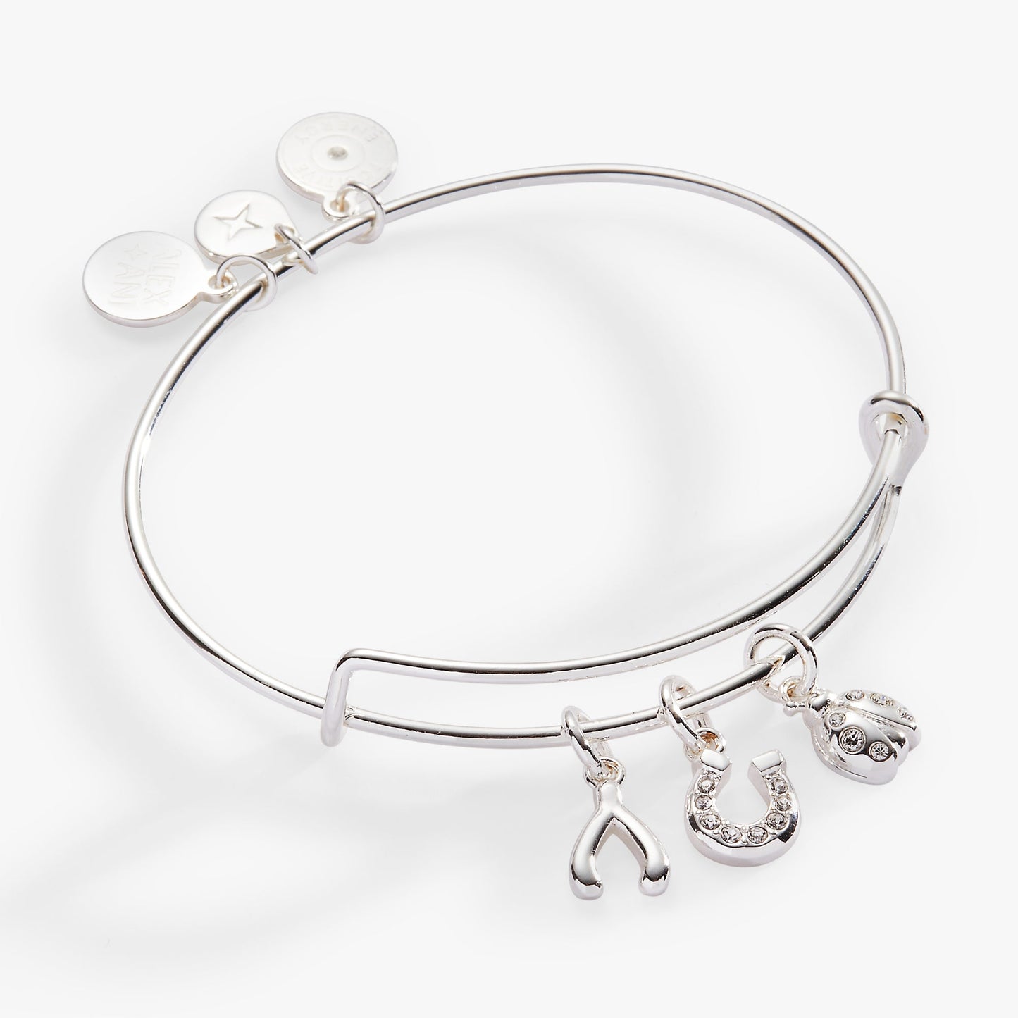 Love and Luck Multi-Charm Bangle ALEX AND ANI