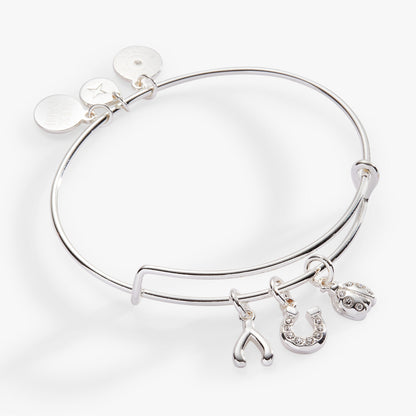 Love and Luck Multi-Charm Bangle ALEX AND ANI