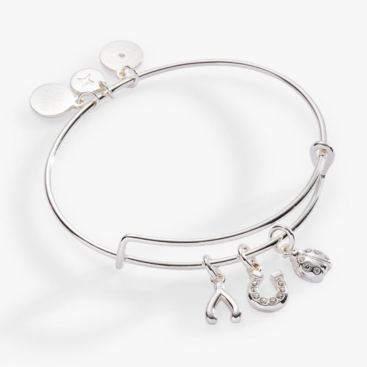Love and Luck Multi-Charm Bangle ALEX AND ANI