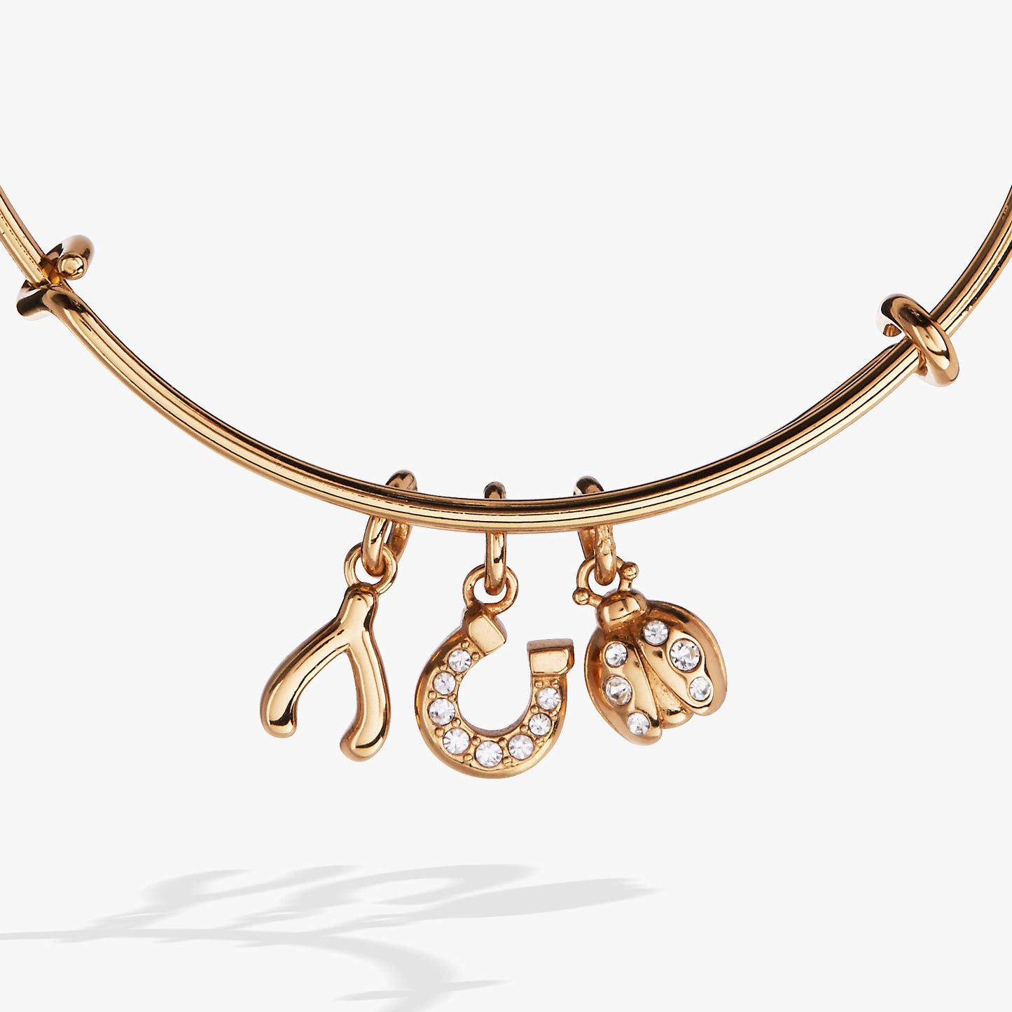 Love and Luck Multi-Charm Bangle ALEX AND ANI