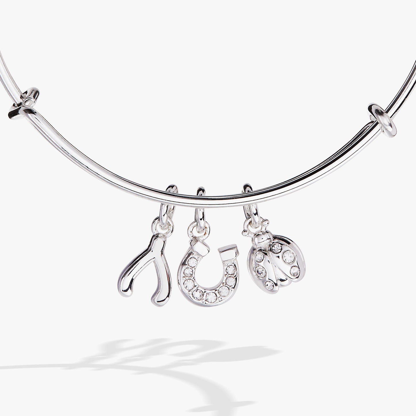 Love and Luck Multi-Charm Bangle ALEX AND ANI