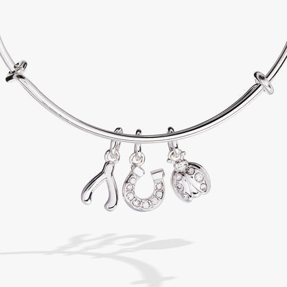 Love and Luck Multi-Charm Bangle ALEX AND ANI