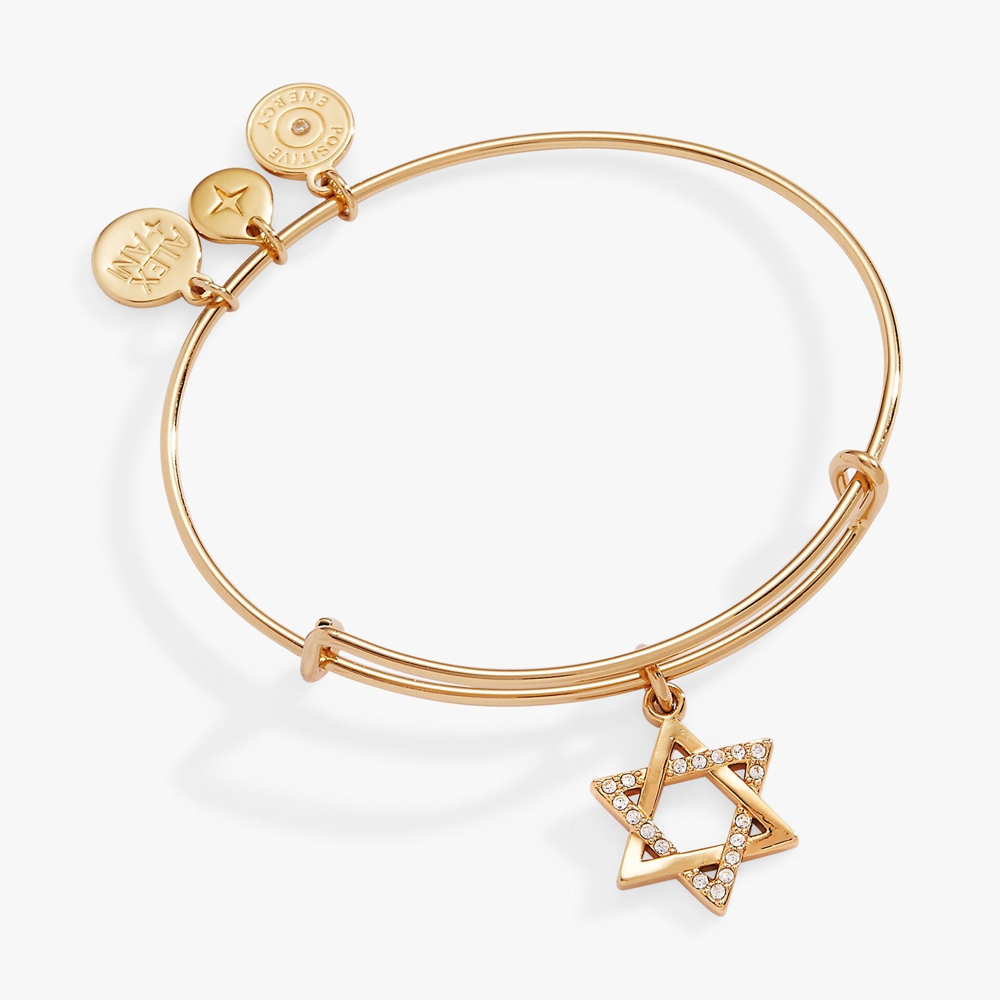 Star of David Bangle ALEX AND ANI