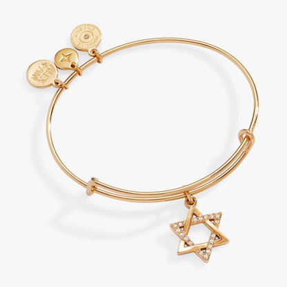 Star of David Bangle ALEX AND ANI