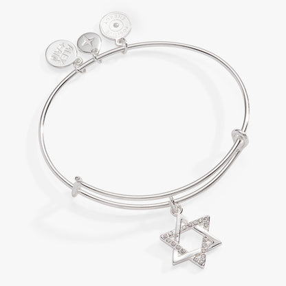 Star of David Bangle ALEX AND ANI