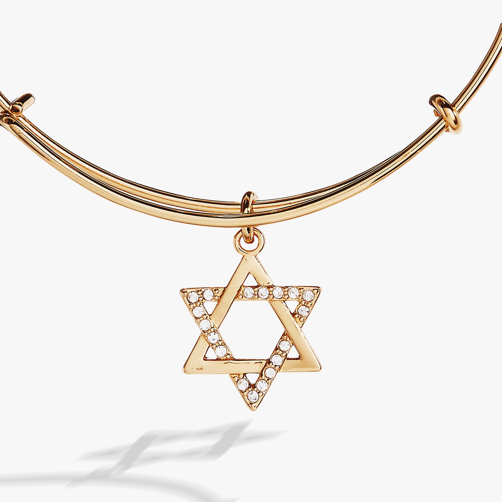 Star of David Bangle ALEX AND ANI