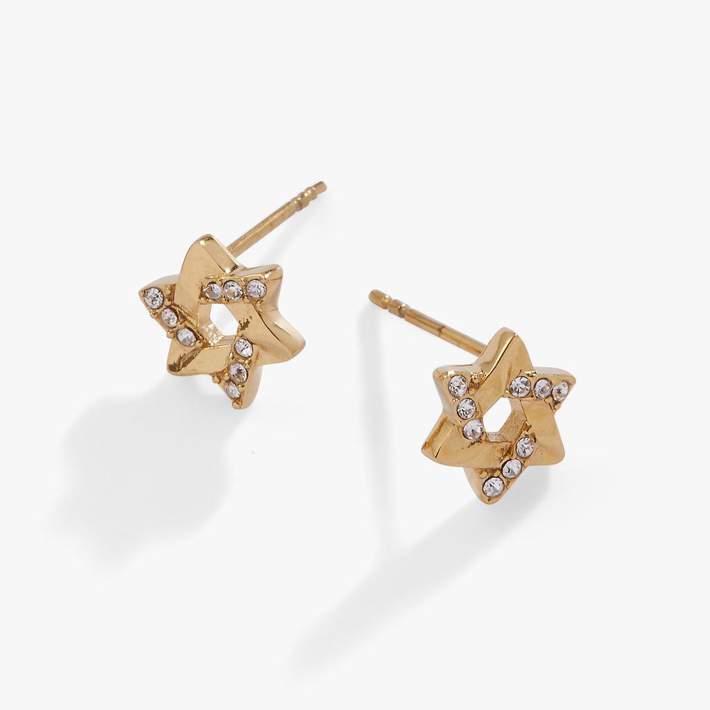 Star of David Mini Stud Earrings ALEX AND ANI