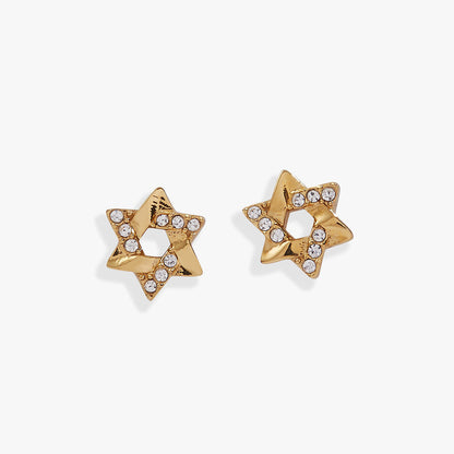 Star of David Mini Stud Earrings ALEX AND ANI