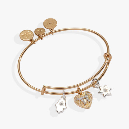 Faith and Family Star of David Charm Bangle ALEX AND ANI