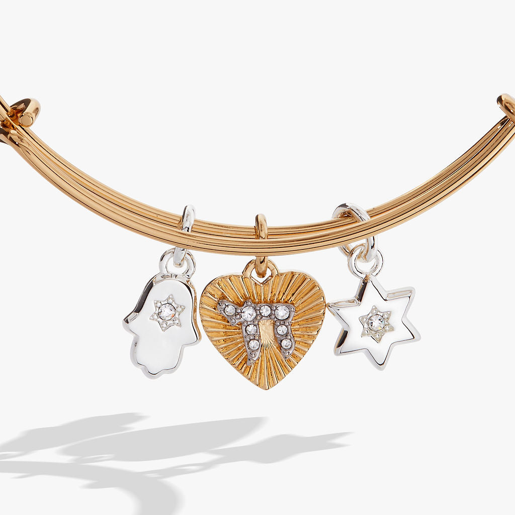 Faith and Family Star of David Charm Bangle ALEX AND ANI