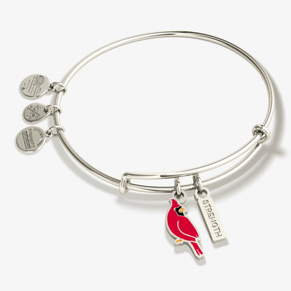 'Strength' Cardinal Duo Charm Bangle Bracelet ALEX AND ANI