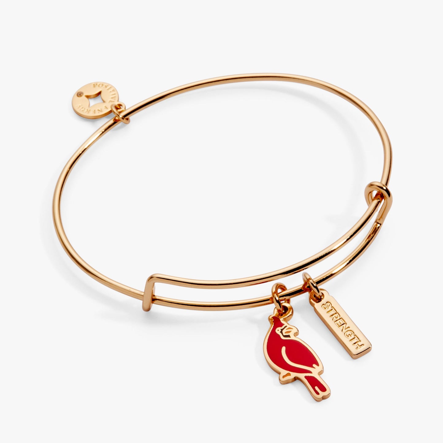 'Strength' Cardinal Duo Charm Bangle Bracelet ALEX AND ANI