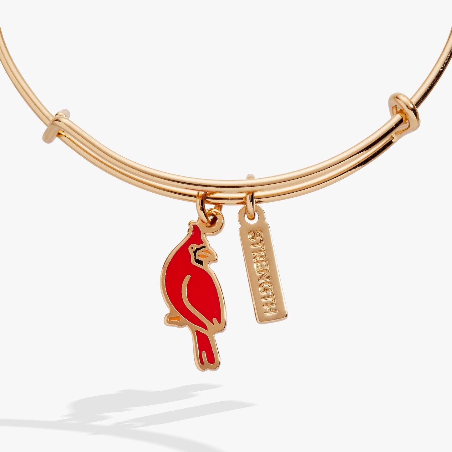 'Strength' Cardinal Duo Charm Bangle Bracelet ALEX AND ANI