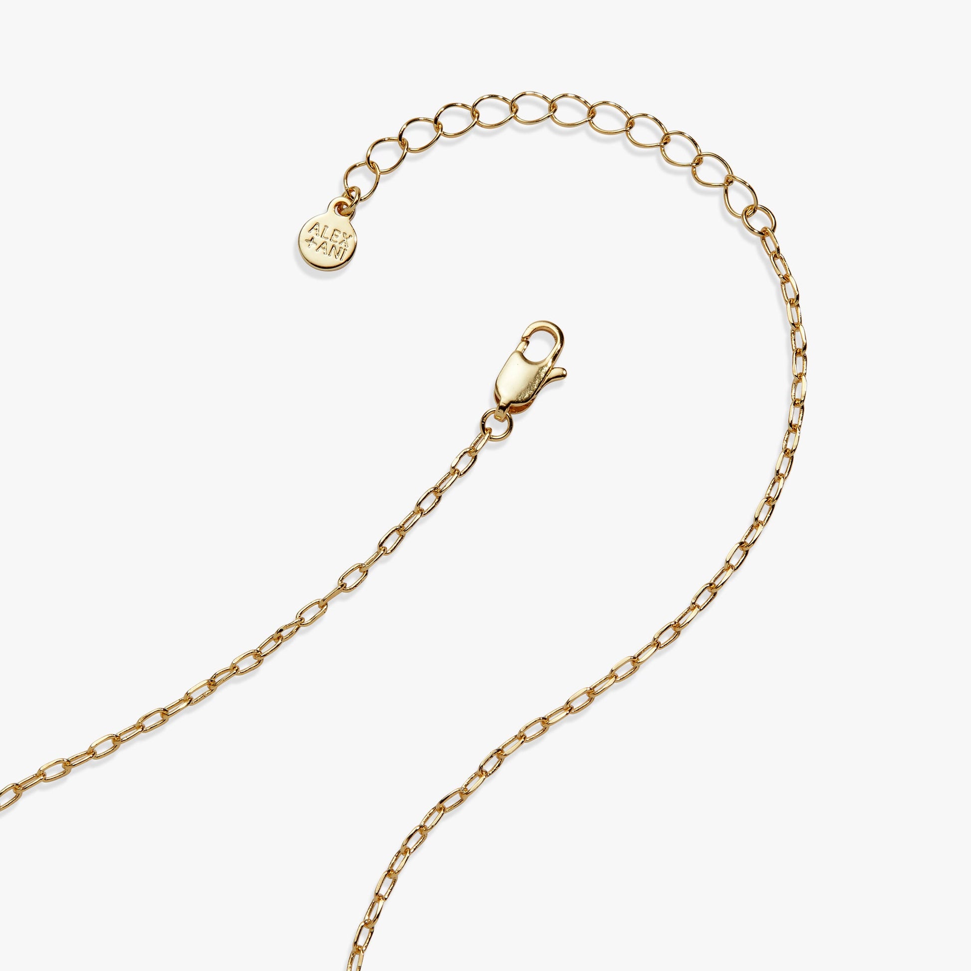 Taco Truck Locket Necklace ALEX AND ANI