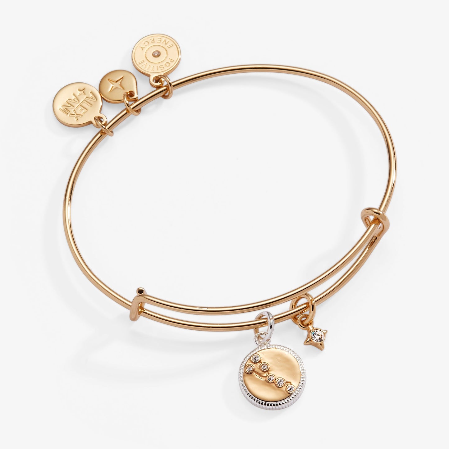 Taurus Zodiac Charm Bangle ALEX AND ANI