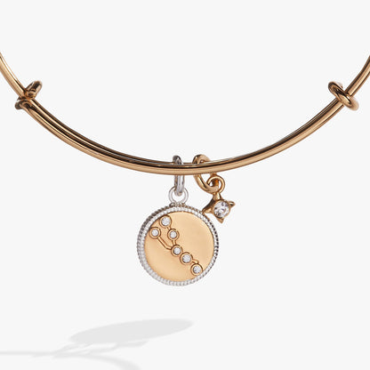 Taurus Zodiac Charm Bangle ALEX AND ANI