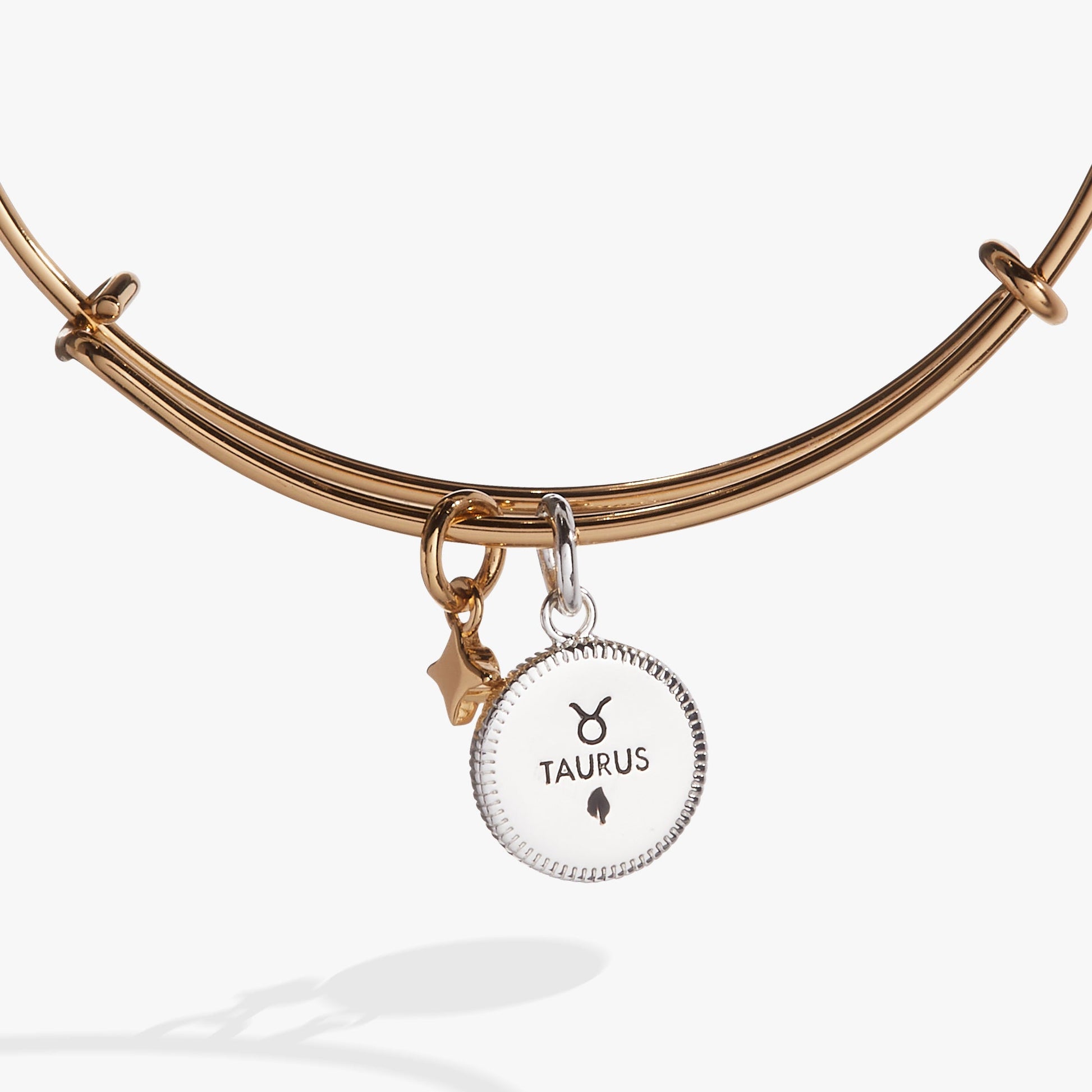 Taurus Zodiac Charm Bangle ALEX AND ANI