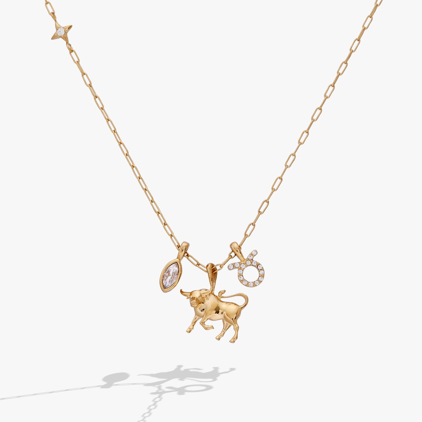 Taurus Zodiac Charm Cluster Necklace ALEX AND ANI
