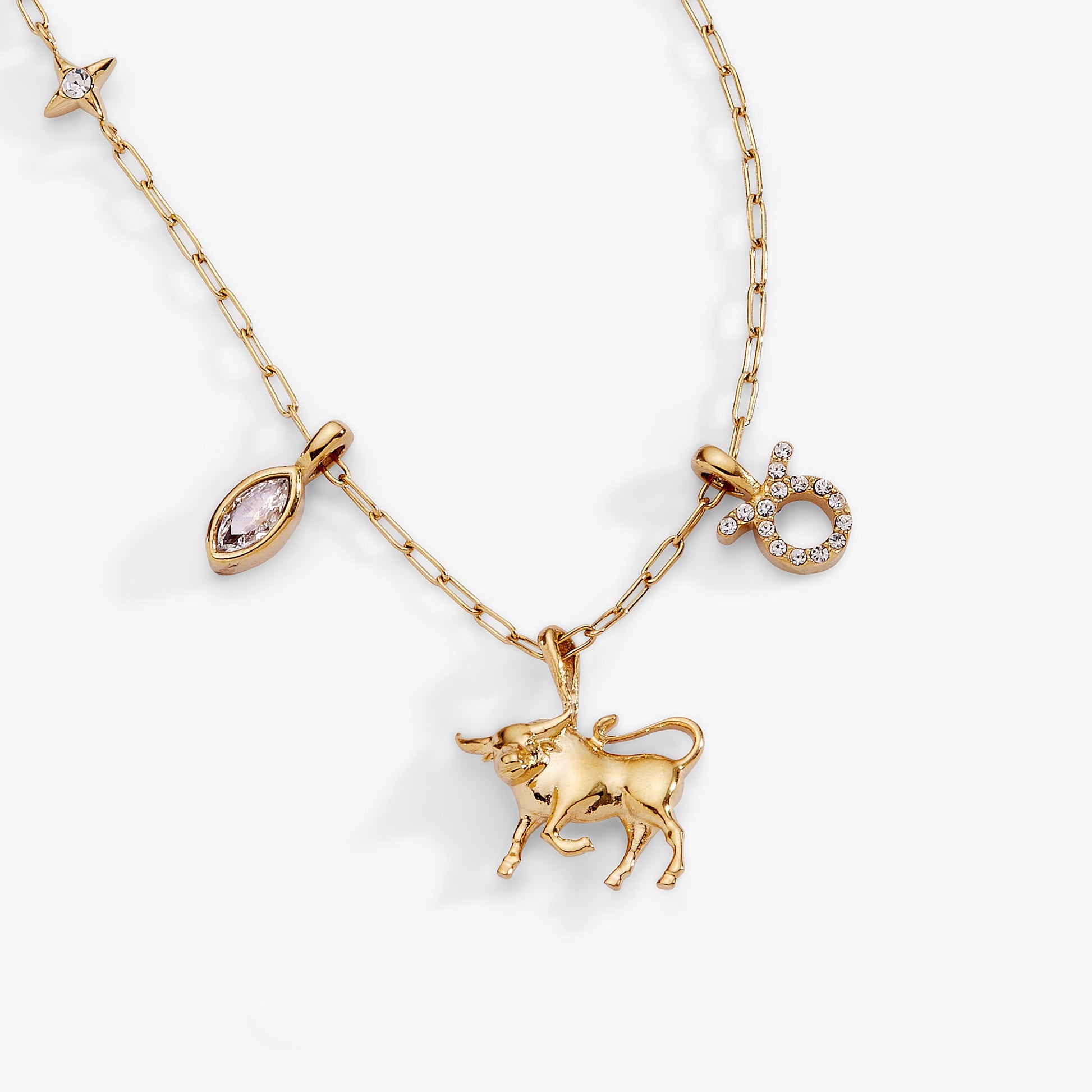 Taurus Zodiac Charm Cluster Necklace ALEX AND ANI