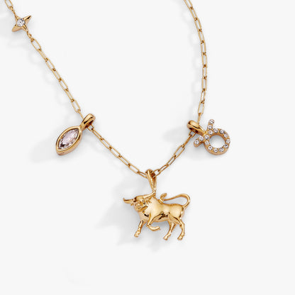 Taurus Zodiac Charm Cluster Necklace ALEX AND ANI
