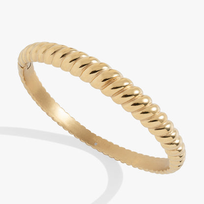 Stainless Steel Rope Textured Bangle ALEX AND ANI