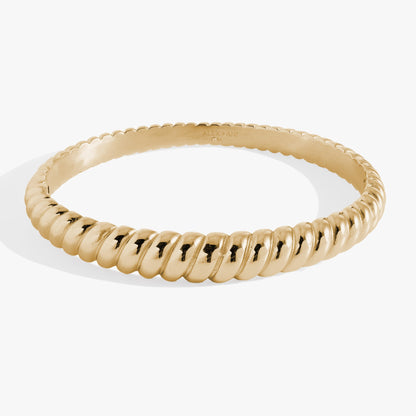 Stainless Steel Rope Textured Bangle ALEX AND ANI