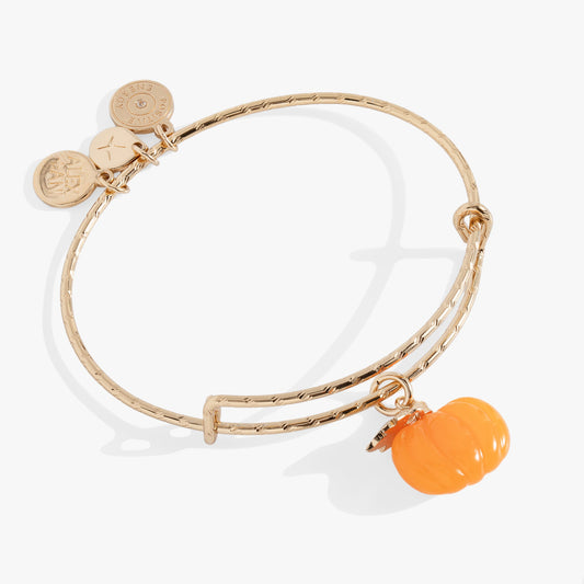 Pumpkin Textured Bangle ALEX AND ANI