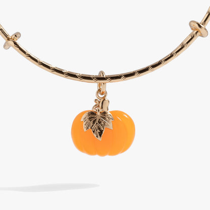 Pumpkin Textured Bangle ALEX AND ANI
