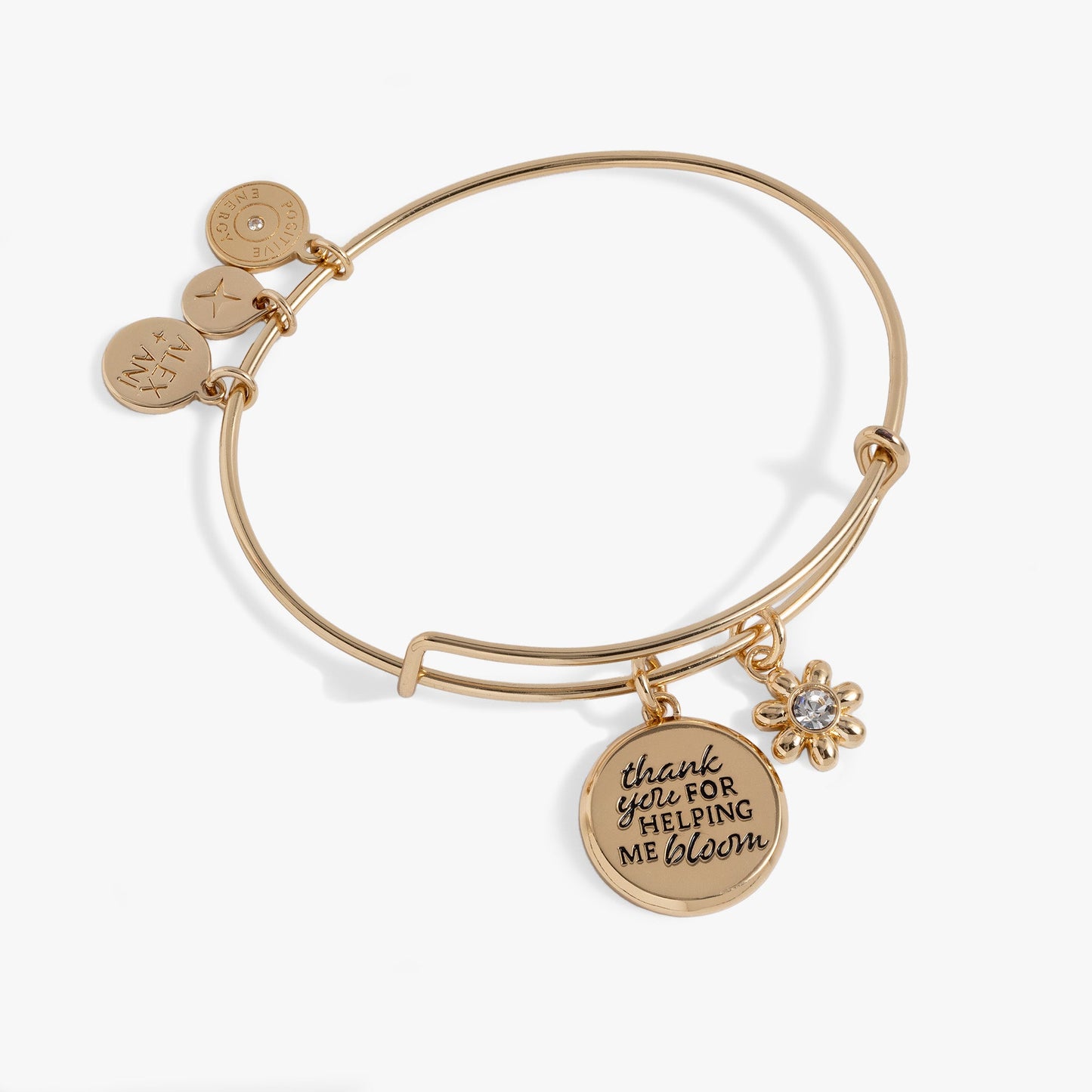 Thank You For Helping Me Bloom' Charm Bangle ALEX AND ANI